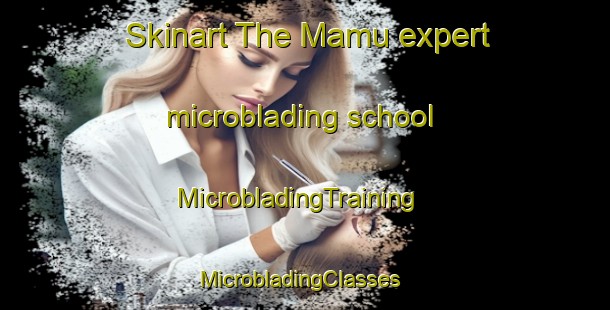 Skinart The Mamu expert microblading school | MicrobladingTraining | MicrobladingClasses | SkinartTraining-Nigeria