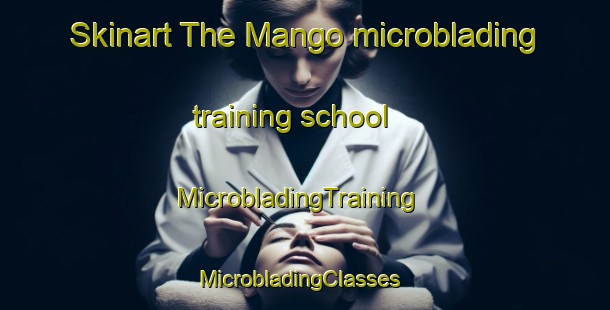 Skinart The Mango microblading training school | MicrobladingTraining | MicrobladingClasses | SkinartTraining-Nigeria