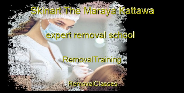 Skinart The Maraya Kattawa expert removal school | RemovalTraining | RemovalClasses | SkinartTraining-Nigeria