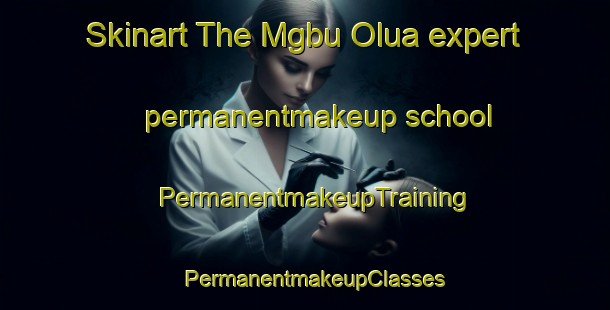 Skinart The Mgbu Olua expert permanentmakeup school | PermanentmakeupTraining | PermanentmakeupClasses | SkinartTraining-Nigeria
