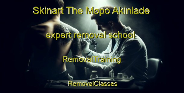 Skinart The Mopo Akinlade expert removal school | RemovalTraining | RemovalClasses | SkinartTraining-Nigeria