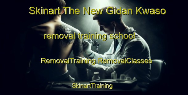 Skinart The New Gidan Kwaso removal training school | #RemovalTraining #RemovalClasses #SkinartTraining-Nigeria