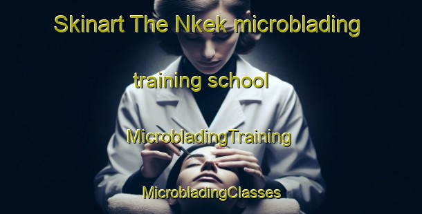 Skinart The Nkek microblading training school | #MicrobladingTraining #MicrobladingClasses #SkinartTraining-Nigeria