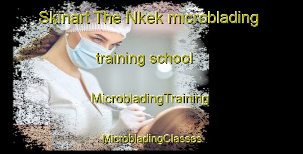 Skinart The Nkek microblading training school | #MicrobladingTraining #MicrobladingClasses #SkinartTraining-Nigeria