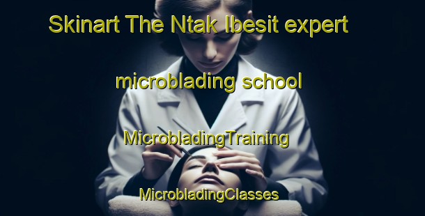 Skinart The Ntak Ibesit expert microblading school | MicrobladingTraining | MicrobladingClasses | SkinartTraining-Nigeria