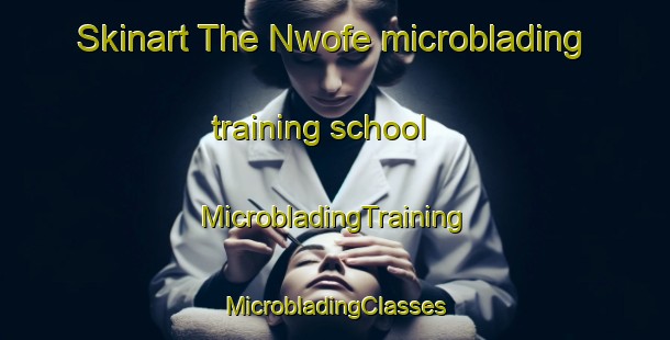 Skinart The Nwofe microblading training school | #MicrobladingTraining #MicrobladingClasses #SkinartTraining-Nigeria