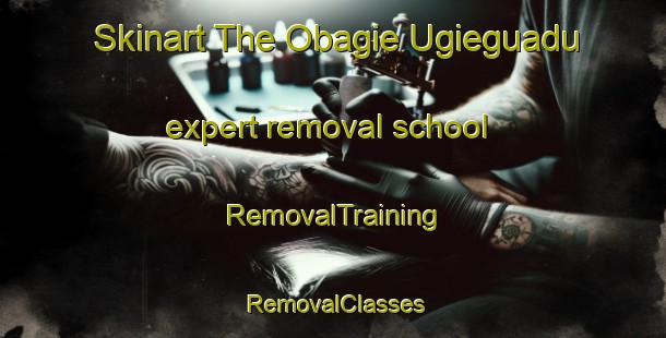 Skinart The Obagie Ugieguadu expert removal school | RemovalTraining | RemovalClasses | SkinartTraining-Nigeria