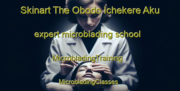 Skinart The Obodo Ichekere Aku expert microblading school | MicrobladingTraining | MicrobladingClasses | SkinartTraining-Nigeria