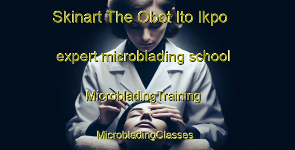 Skinart The Obot Ito Ikpo expert microblading school | MicrobladingTraining | MicrobladingClasses | SkinartTraining-Nigeria