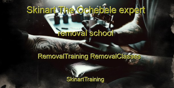 Skinart The Ochebele expert removal school | #RemovalTraining #RemovalClasses #SkinartTraining-Nigeria