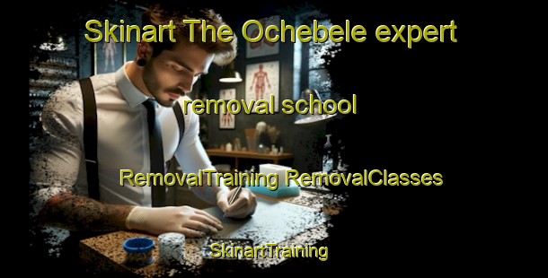 Skinart The Ochebele expert removal school | #RemovalTraining #RemovalClasses #SkinartTraining-Nigeria