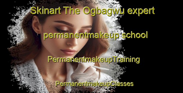 Skinart The Ogbagwu expert permanentmakeup school | PermanentmakeupTraining | PermanentmakeupClasses | SkinartTraining-Nigeria