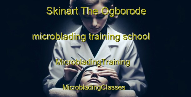 Skinart The Ogborode microblading training school | MicrobladingTraining | MicrobladingClasses | SkinartTraining-Nigeria