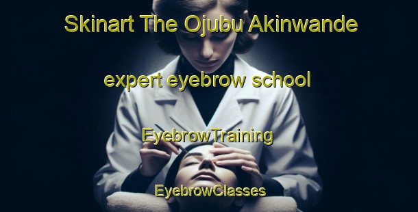 Skinart The Ojubu Akinwande expert eyebrow school | EyebrowTraining | EyebrowClasses | SkinartTraining-Nigeria