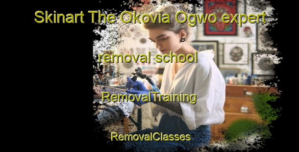 Skinart The Okovia Ogwo expert removal school | RemovalTraining | RemovalClasses | SkinartTraining-Nigeria