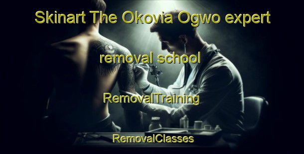 Skinart The Okovia Ogwo expert removal school | RemovalTraining | RemovalClasses | SkinartTraining-Nigeria