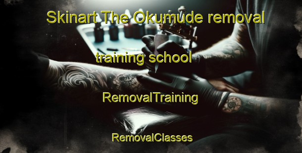 Skinart The Okumude removal training school | RemovalTraining | RemovalClasses | SkinartTraining-Nigeria