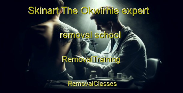 Skinart The Okwirhie expert removal school | RemovalTraining | RemovalClasses | SkinartTraining-Nigeria