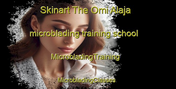 Skinart The Omi Alaja microblading training school | MicrobladingTraining | MicrobladingClasses | SkinartTraining-Nigeria