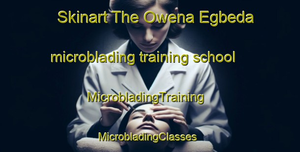 Skinart The Owena Egbeda microblading training school | MicrobladingTraining | MicrobladingClasses | SkinartTraining-Nigeria