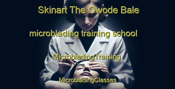 Skinart The Owode Bale microblading training school | #MicrobladingTraining #MicrobladingClasses #SkinartTraining-Nigeria