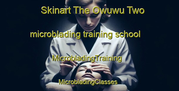 Skinart The Owuwu Two microblading training school | MicrobladingTraining | MicrobladingClasses | SkinartTraining-Nigeria