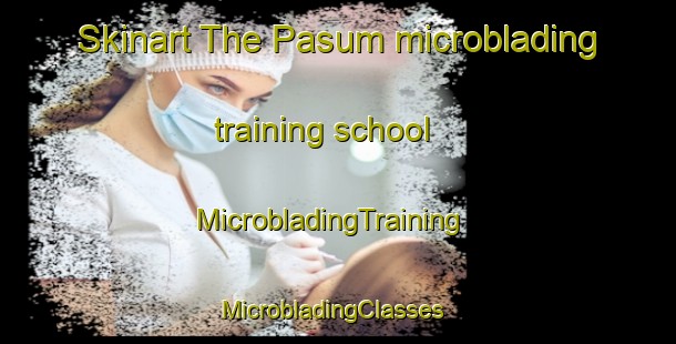 Skinart The Pasum microblading training school | MicrobladingTraining | MicrobladingClasses | SkinartTraining-Nigeria