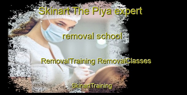 Skinart The Piya expert removal school | #RemovalTraining #RemovalClasses #SkinartTraining-Nigeria