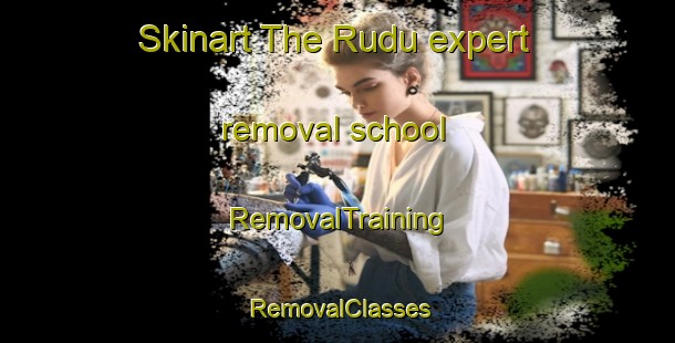 Skinart The Rudu expert removal school | RemovalTraining | RemovalClasses | SkinartTraining-Nigeria