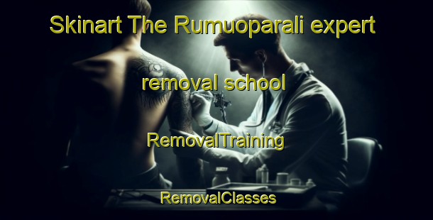 Skinart The Rumuoparali expert removal school | RemovalTraining | RemovalClasses | SkinartTraining-Nigeria