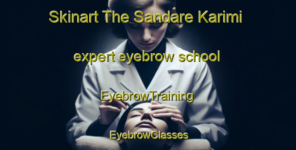 Skinart The Sandare Karimi expert eyebrow school | EyebrowTraining | EyebrowClasses | SkinartTraining-Nigeria