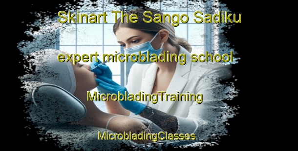 Skinart The Sango Sadiku expert microblading school | MicrobladingTraining | MicrobladingClasses | SkinartTraining-Nigeria