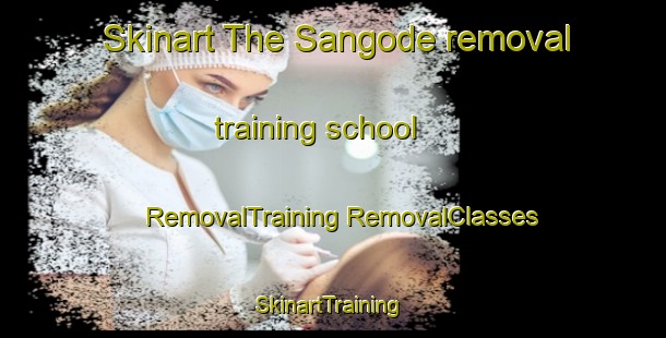 Skinart The Sangode removal training school | #RemovalTraining #RemovalClasses #SkinartTraining-Nigeria