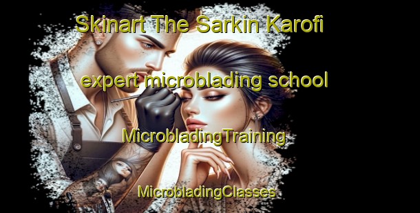 Skinart The Sarkin Karofi expert microblading school | MicrobladingTraining | MicrobladingClasses | SkinartTraining-Nigeria