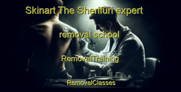 Skinart The Sherifuri expert removal school | RemovalTraining | RemovalClasses | SkinartTraining-Nigeria