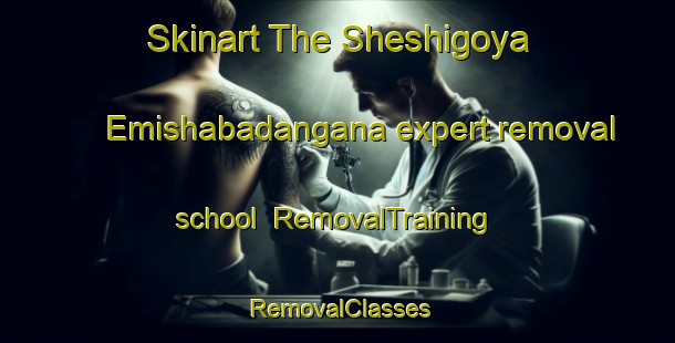 Skinart The Sheshigoya Emishabadangana expert removal school | RemovalTraining | RemovalClasses | SkinartTraining-Nigeria