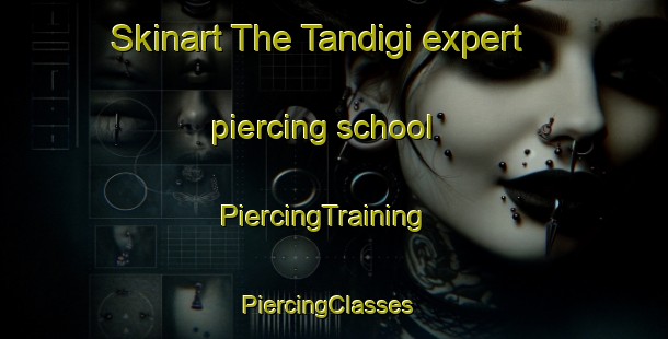 Skinart The Tandigi expert piercing school | PiercingTraining | PiercingClasses | SkinartTraining-Nigeria