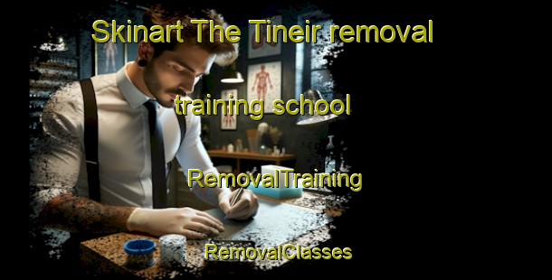 Skinart The Tineir removal training school | RemovalTraining | RemovalClasses | SkinartTraining-Nigeria