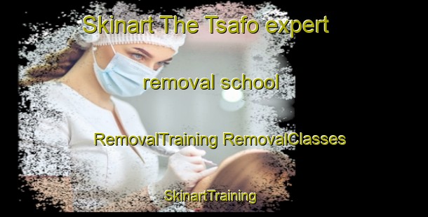 Skinart The Tsafo expert removal school | #RemovalTraining #RemovalClasses #SkinartTraining-Nigeria