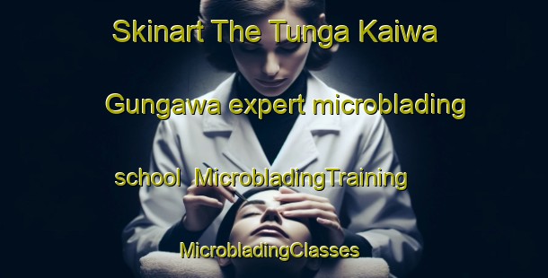 Skinart The Tunga Kaiwa Gungawa expert microblading school | MicrobladingTraining | MicrobladingClasses | SkinartTraining-Nigeria