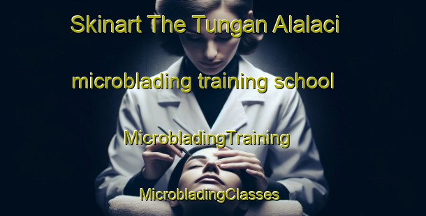 Skinart The Tungan Alalaci microblading training school | MicrobladingTraining | MicrobladingClasses | SkinartTraining-Nigeria