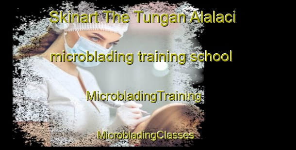 Skinart The Tungan Alalaci microblading training school | MicrobladingTraining | MicrobladingClasses | SkinartTraining-Nigeria