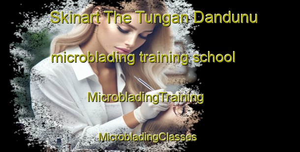 Skinart The Tungan Dandunu microblading training school | MicrobladingTraining | MicrobladingClasses | SkinartTraining-Nigeria