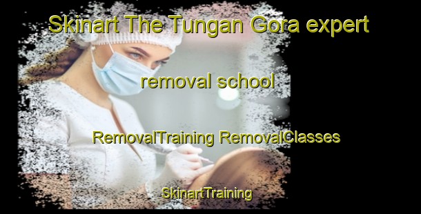 Skinart The Tungan Gora expert removal school | #RemovalTraining #RemovalClasses #SkinartTraining-Nigeria