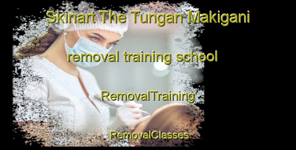 Skinart The Tungan Makigani removal training school | RemovalTraining | RemovalClasses | SkinartTraining-Nigeria