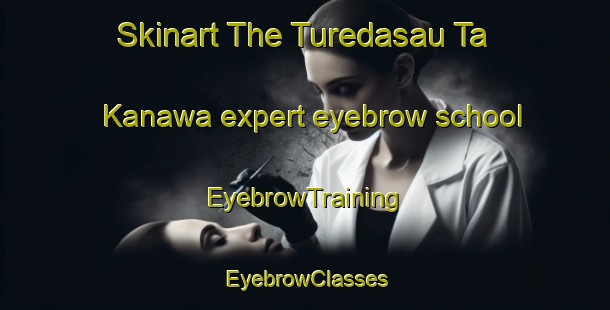 Skinart The Turedasau Ta Kanawa expert eyebrow school | EyebrowTraining | EyebrowClasses | SkinartTraining-Nigeria