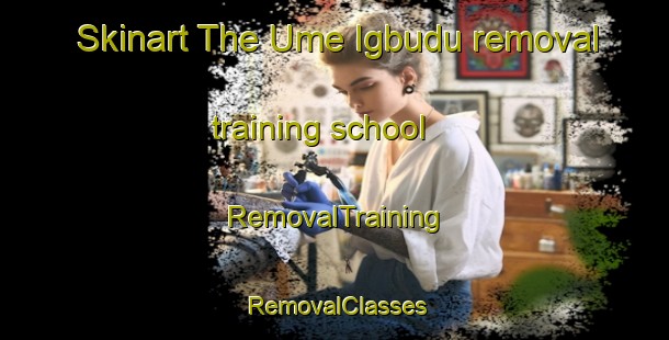 Skinart The Ume Igbudu removal training school | RemovalTraining | RemovalClasses | SkinartTraining-Nigeria
