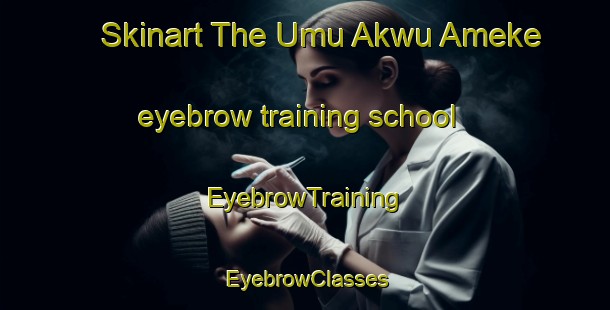 Skinart The Umu Akwu Ameke eyebrow training school | EyebrowTraining | EyebrowClasses | SkinartTraining-Nigeria