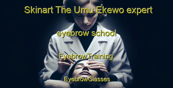 Skinart The Umu Ekewo expert eyebrow school | EyebrowTraining | EyebrowClasses | SkinartTraining-Nigeria