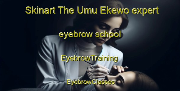 Skinart The Umu Ekewo expert eyebrow school | EyebrowTraining | EyebrowClasses | SkinartTraining-Nigeria